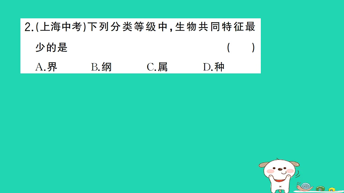 17325153第3页