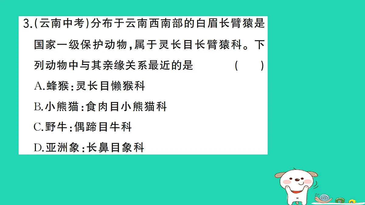 17325153第4页