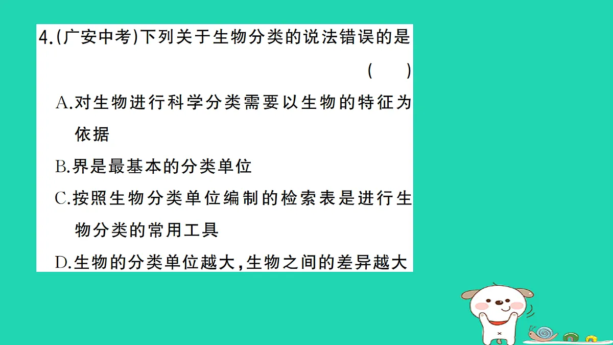 17325153第5页