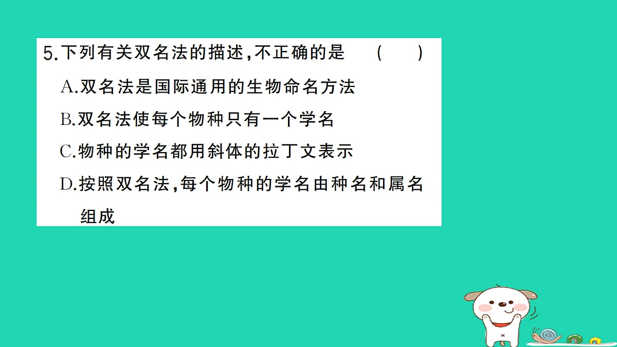 17325153第6页
