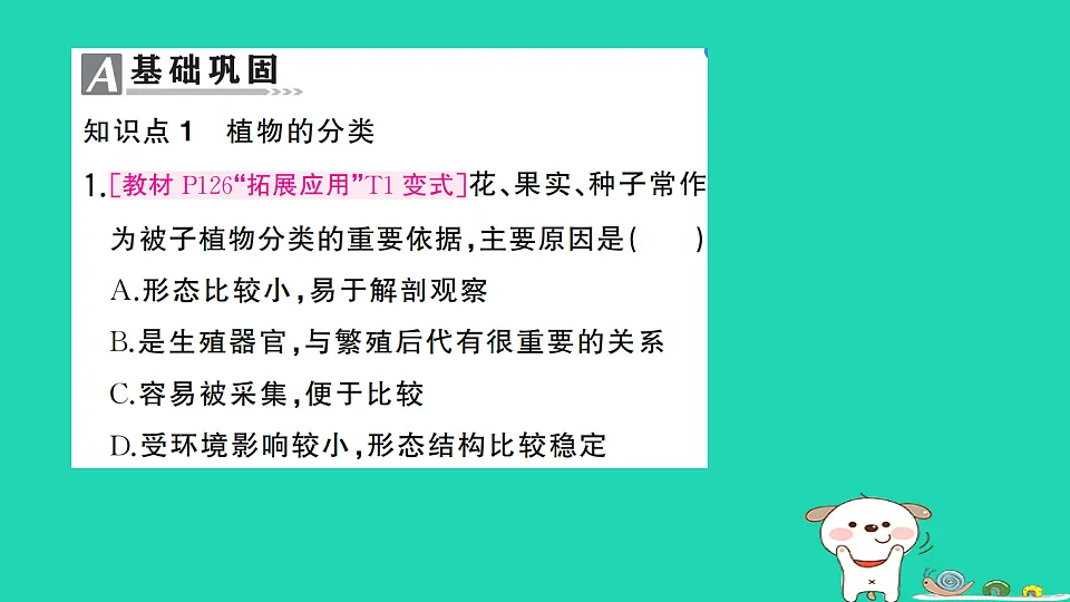 17325154第2页