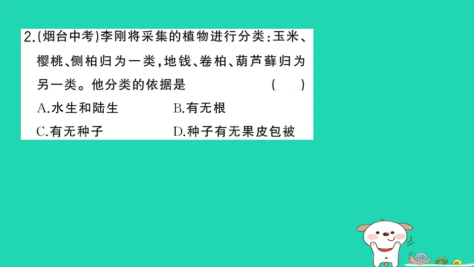 17325154第3页