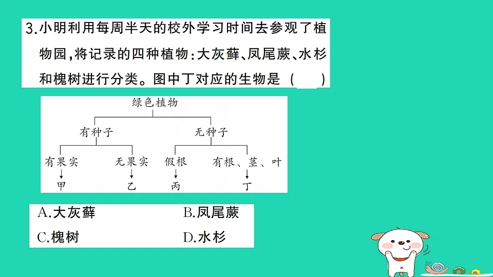 17325154第4页