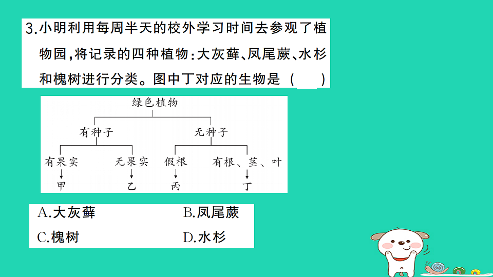 17325154第4页