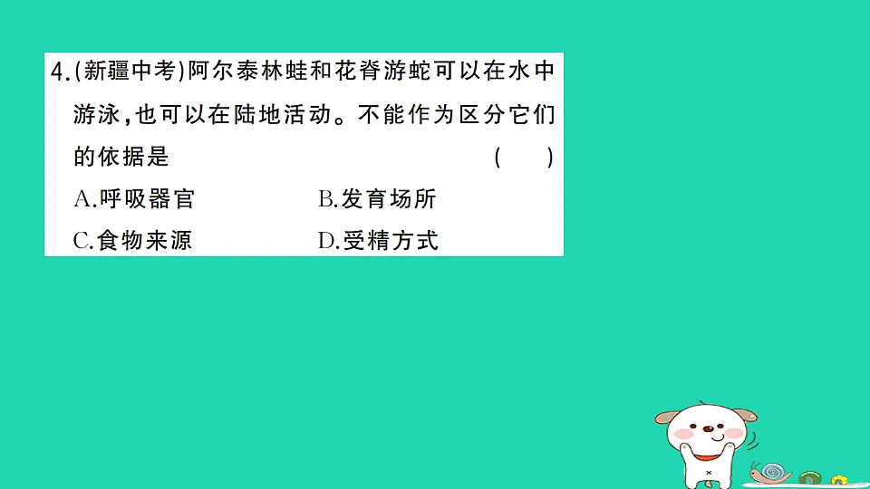 17325154第5页