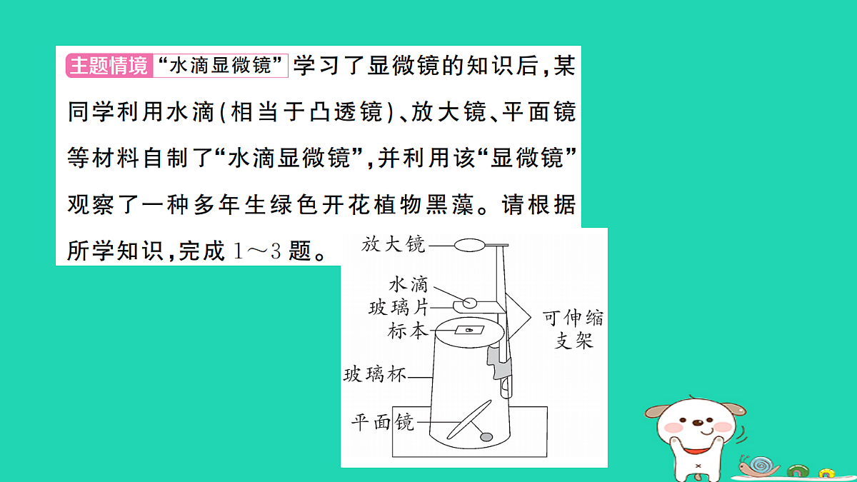 17325155第2页