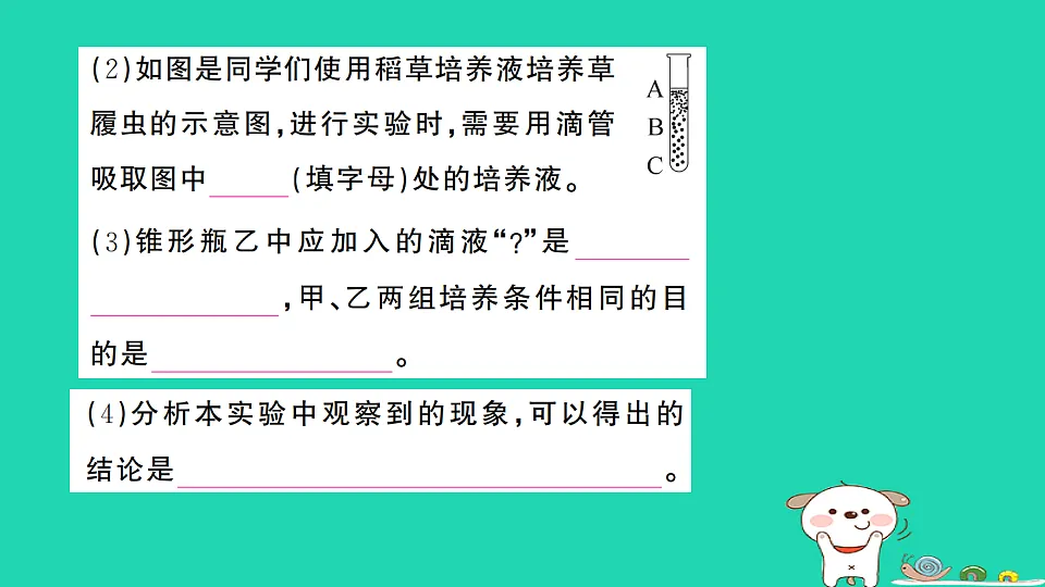 17325156第3页