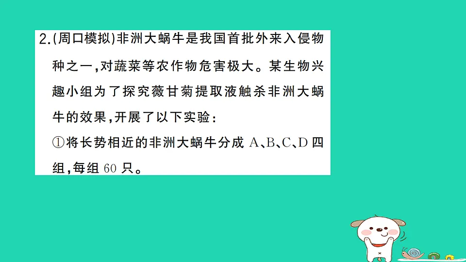 17325156第4页