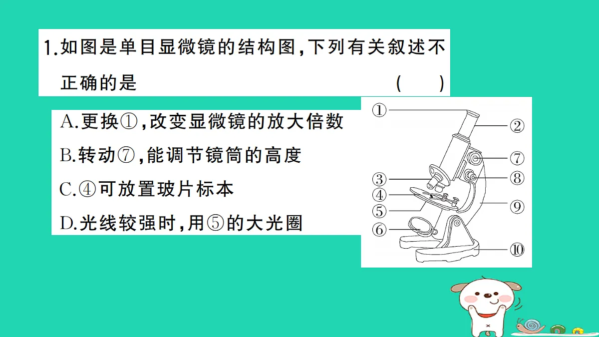 17325157第2页