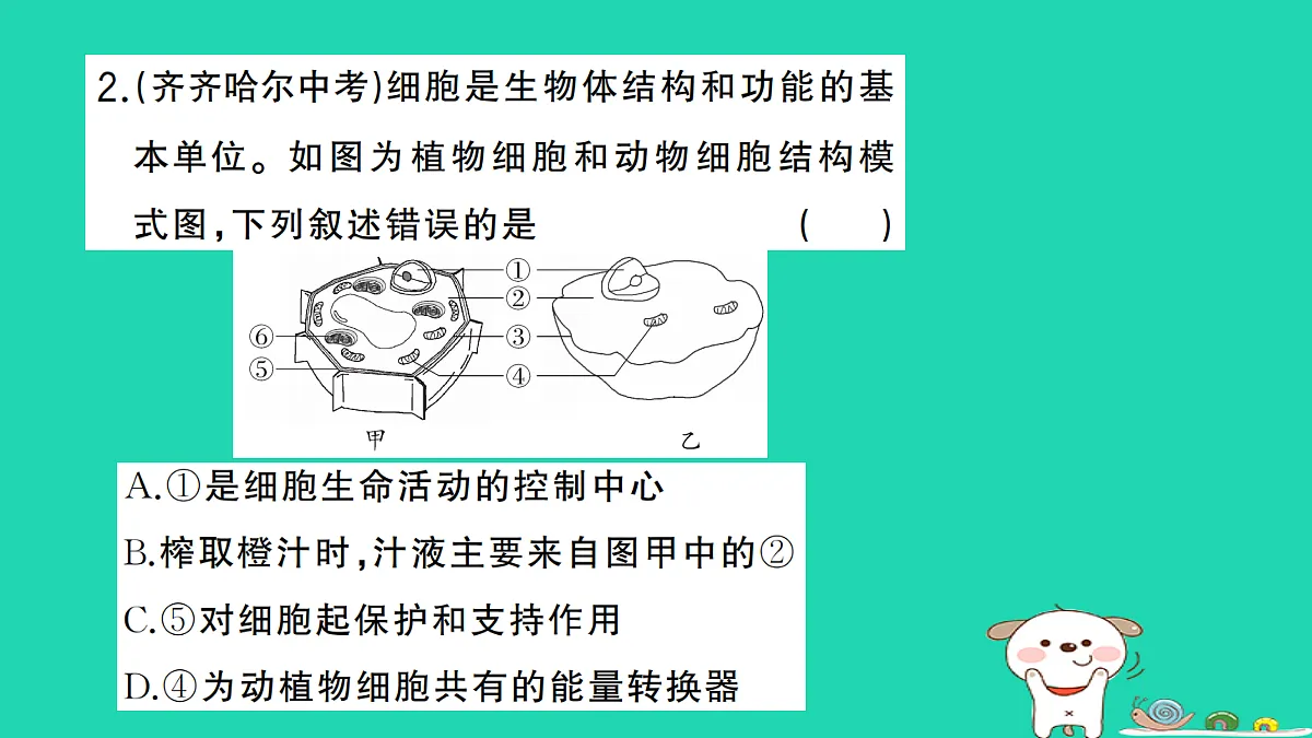 17325157第3页