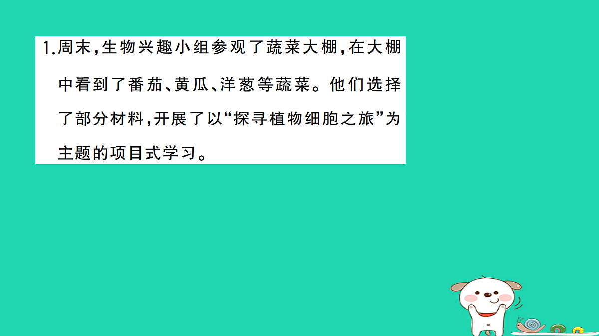17325158第2页