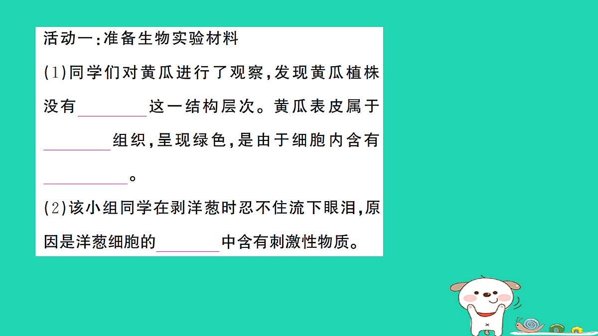 17325158第3页