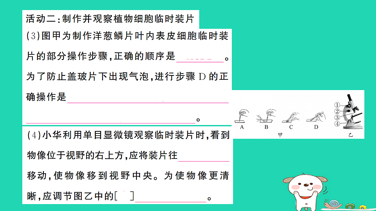 17325158第4页