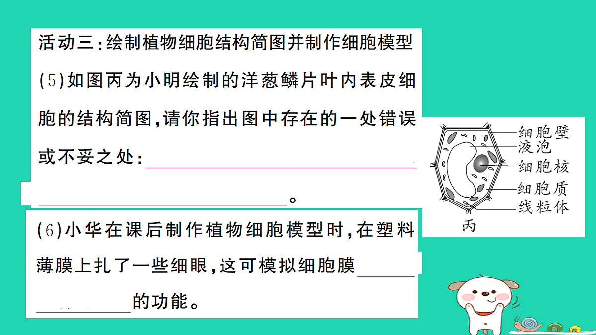 17325158第5页