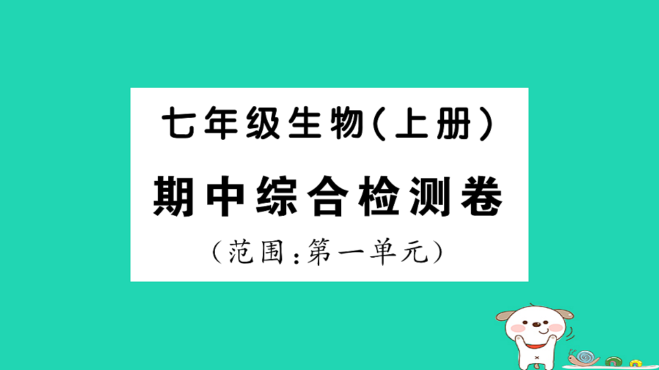 17325159第1页