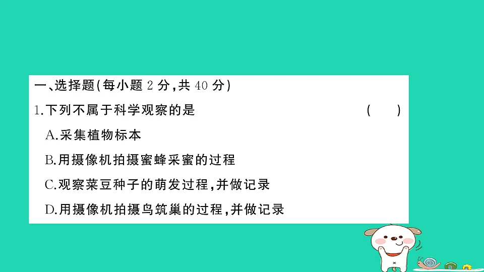 17325159第2页