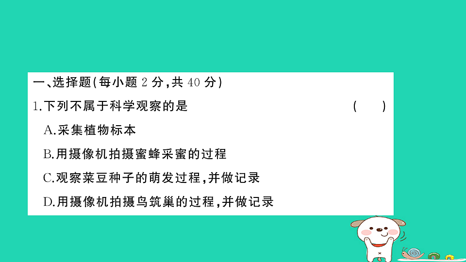 17325159第2页