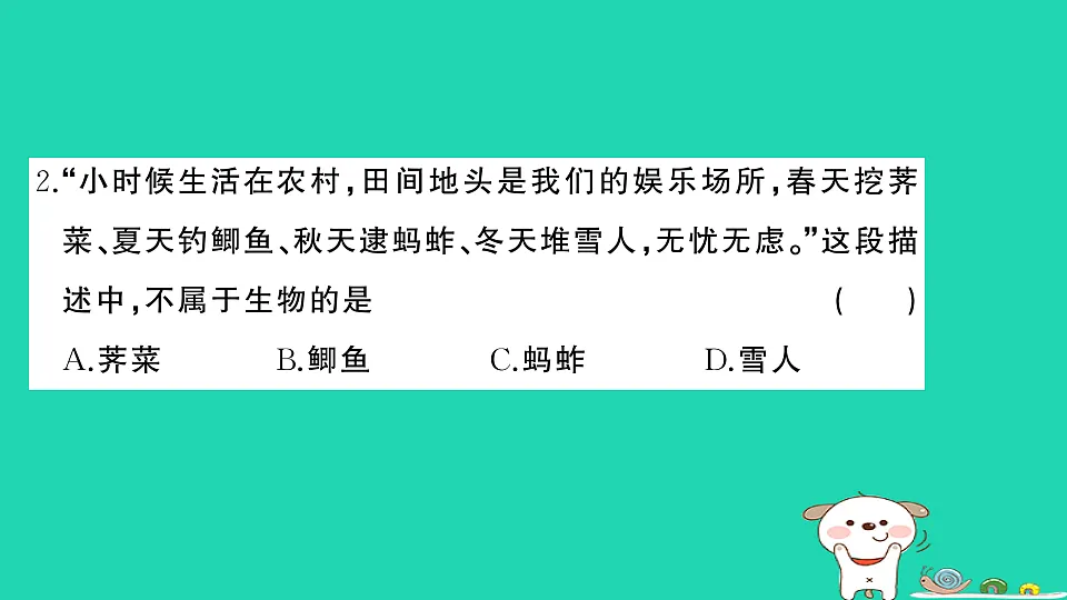 17325159第3页