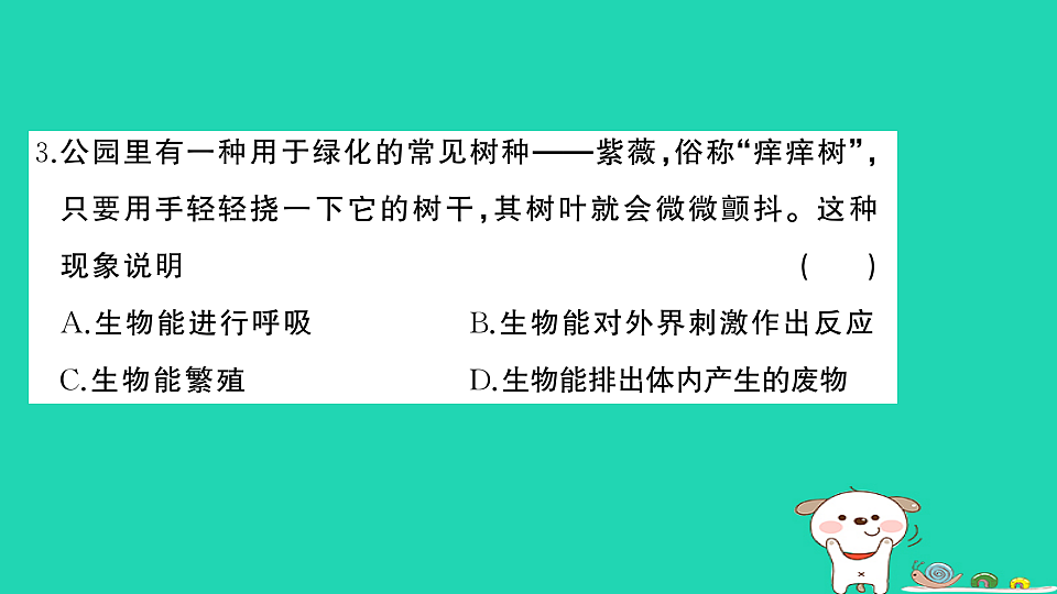 17325159第4页