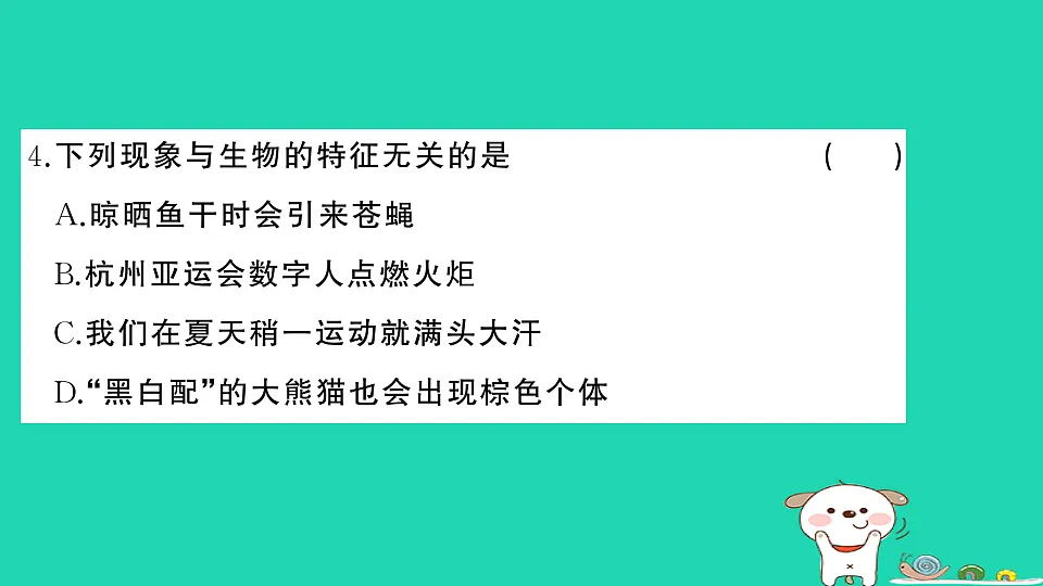 17325159第5页