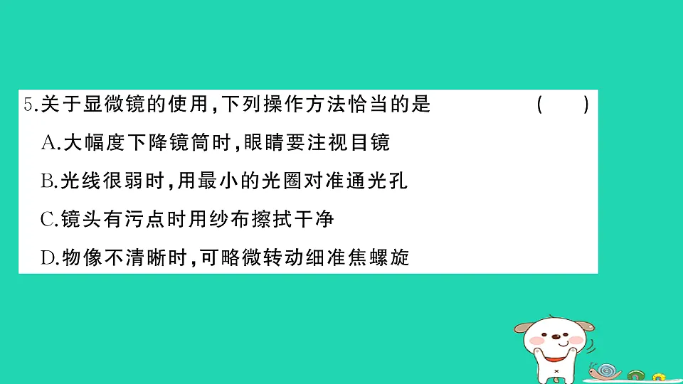 17325159第6页