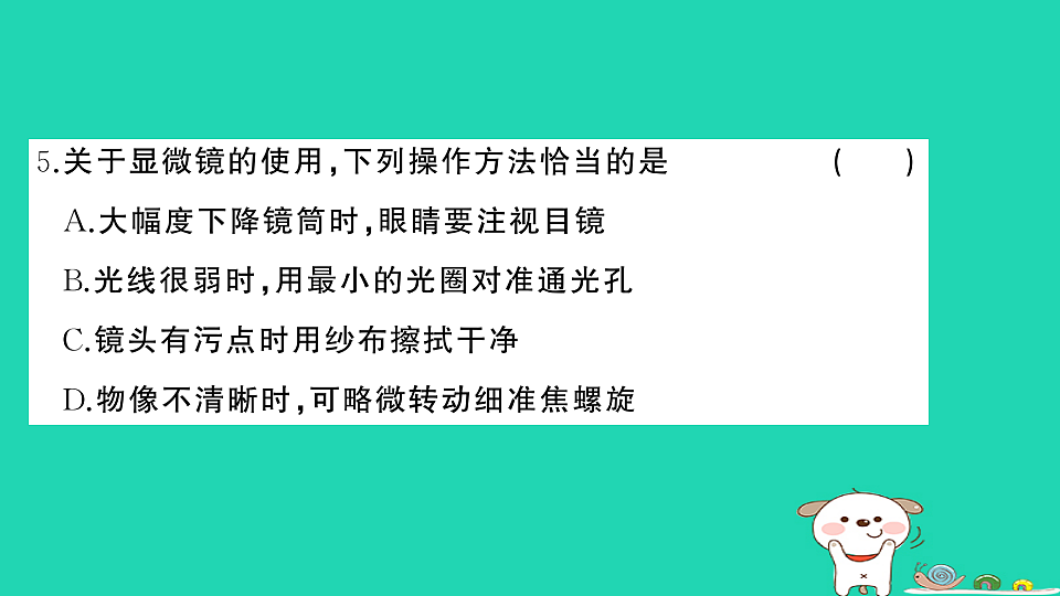 17325159第6页