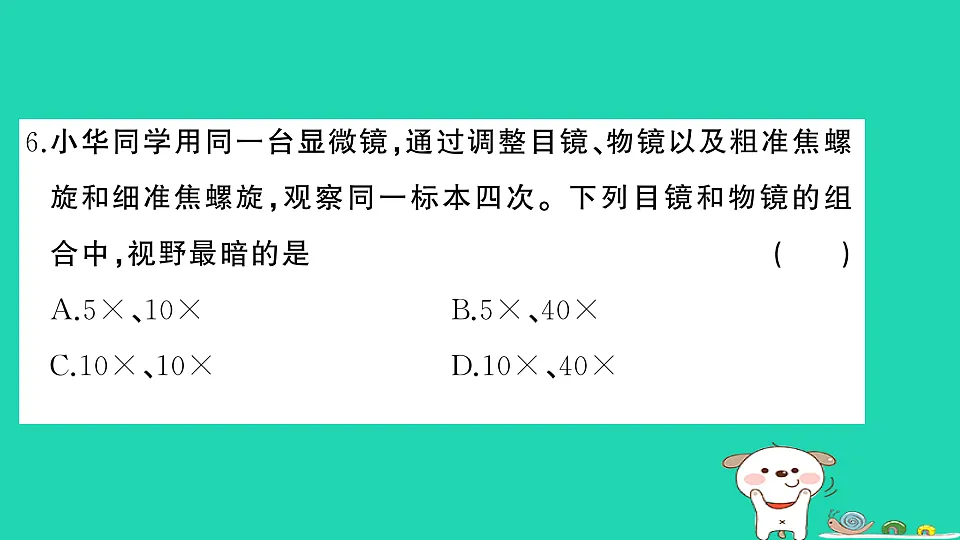 17325159第7页