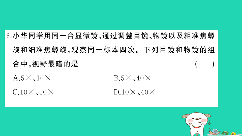 17325159第7页