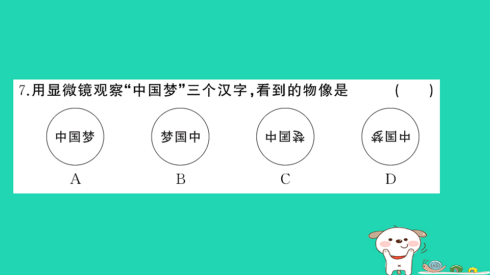 17325159第8页