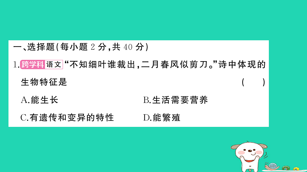 17325160第2页