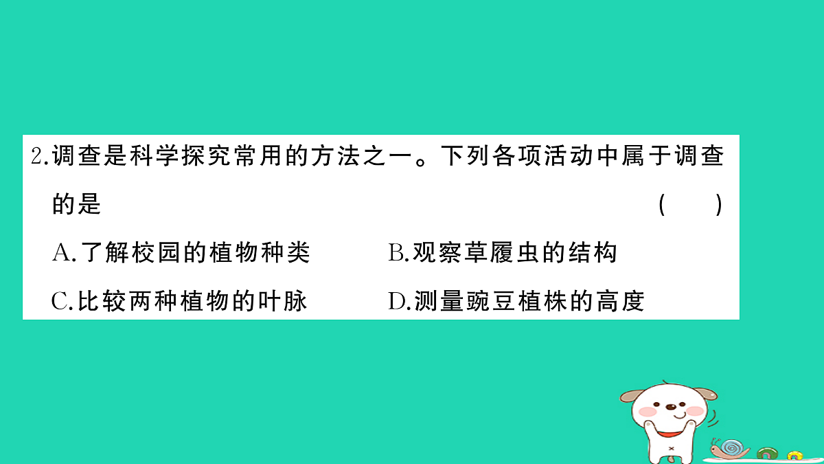 17325160第3页