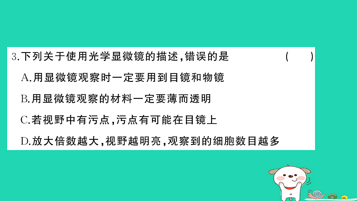 17325160第4页