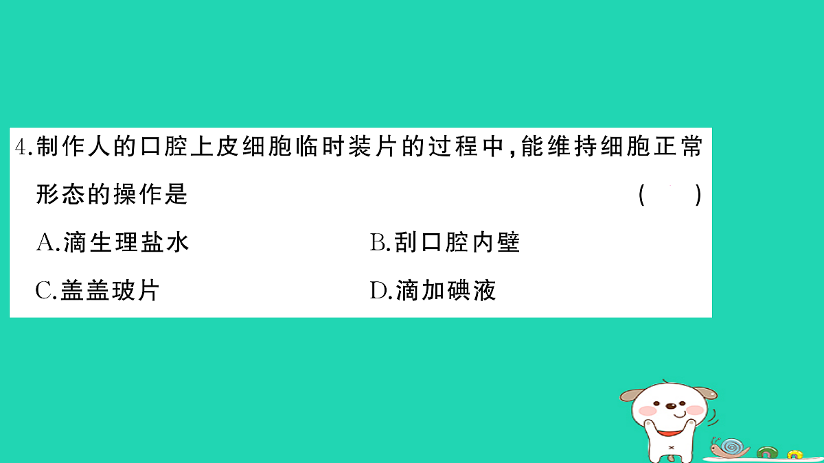 17325160第5页