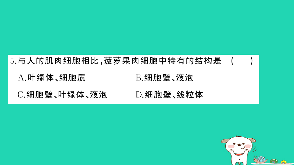 17325160第6页