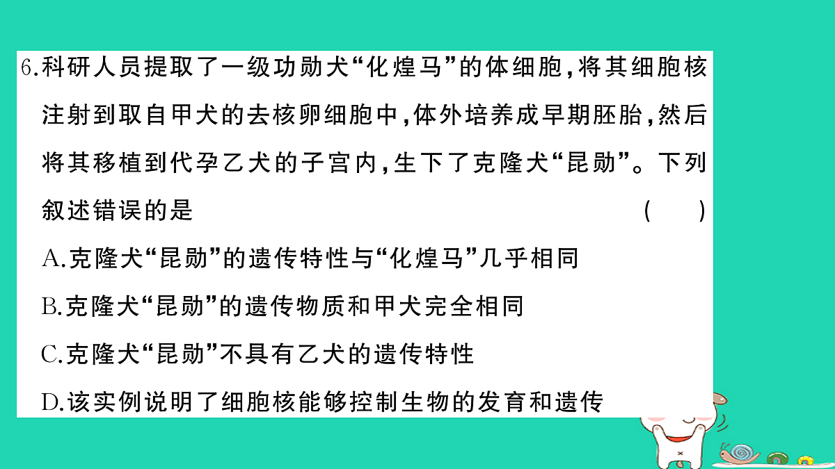 17325160第7页