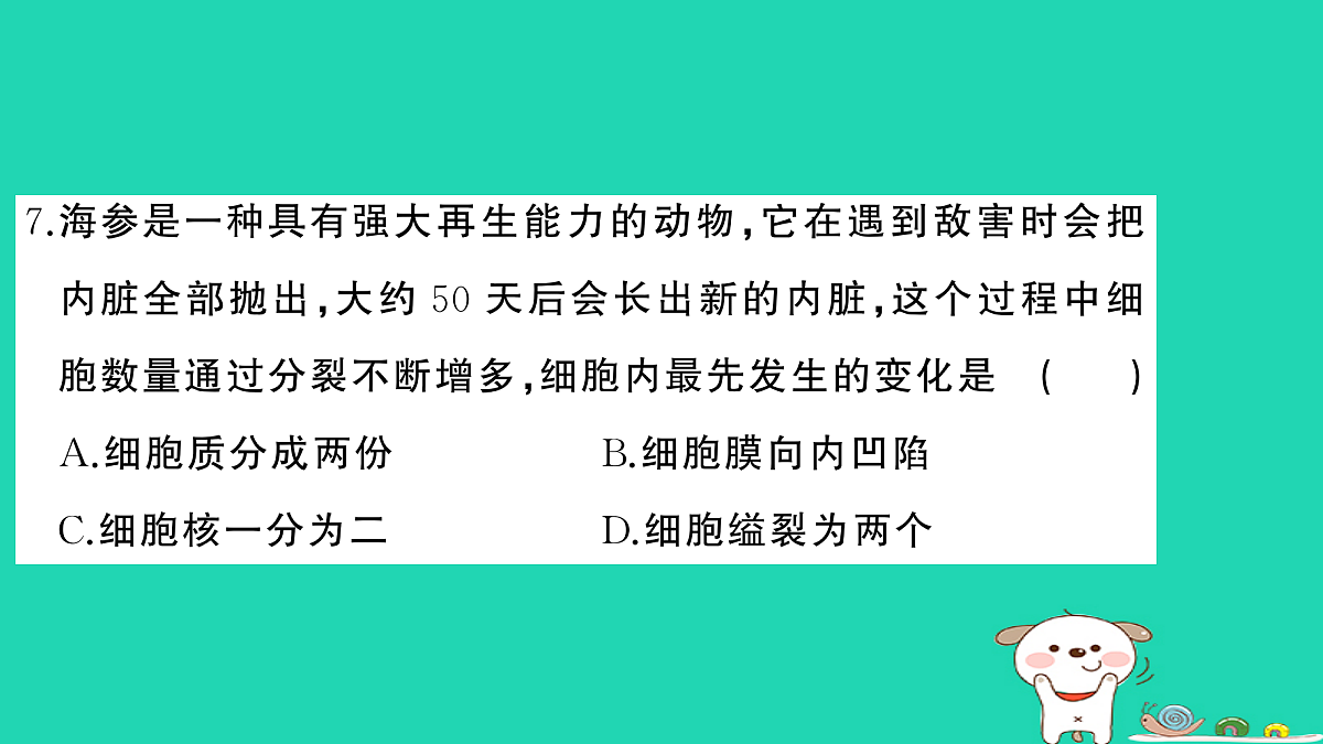 17325160第8页
