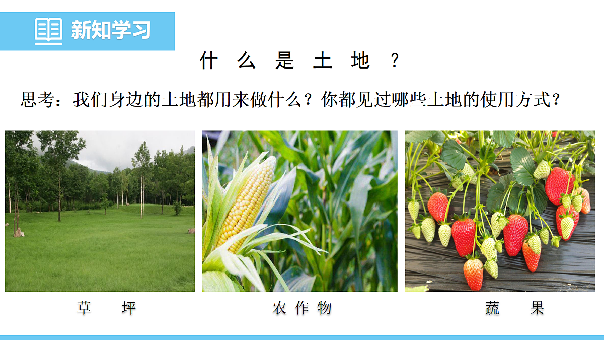 17325256第4页