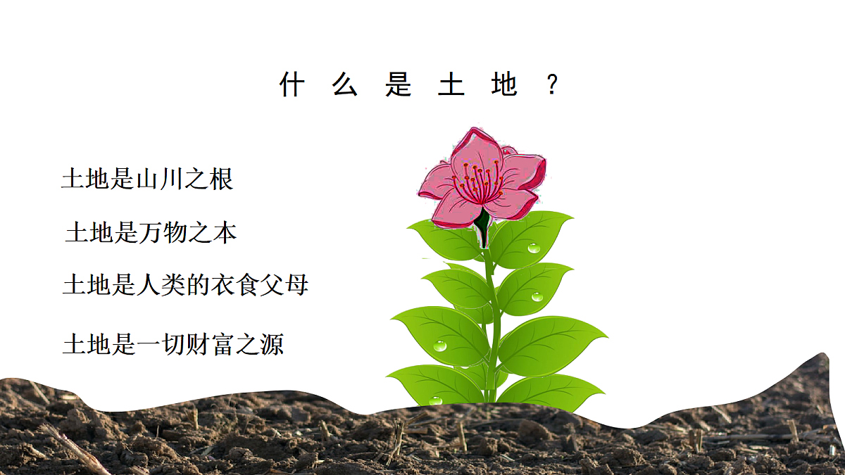 17325256第6页