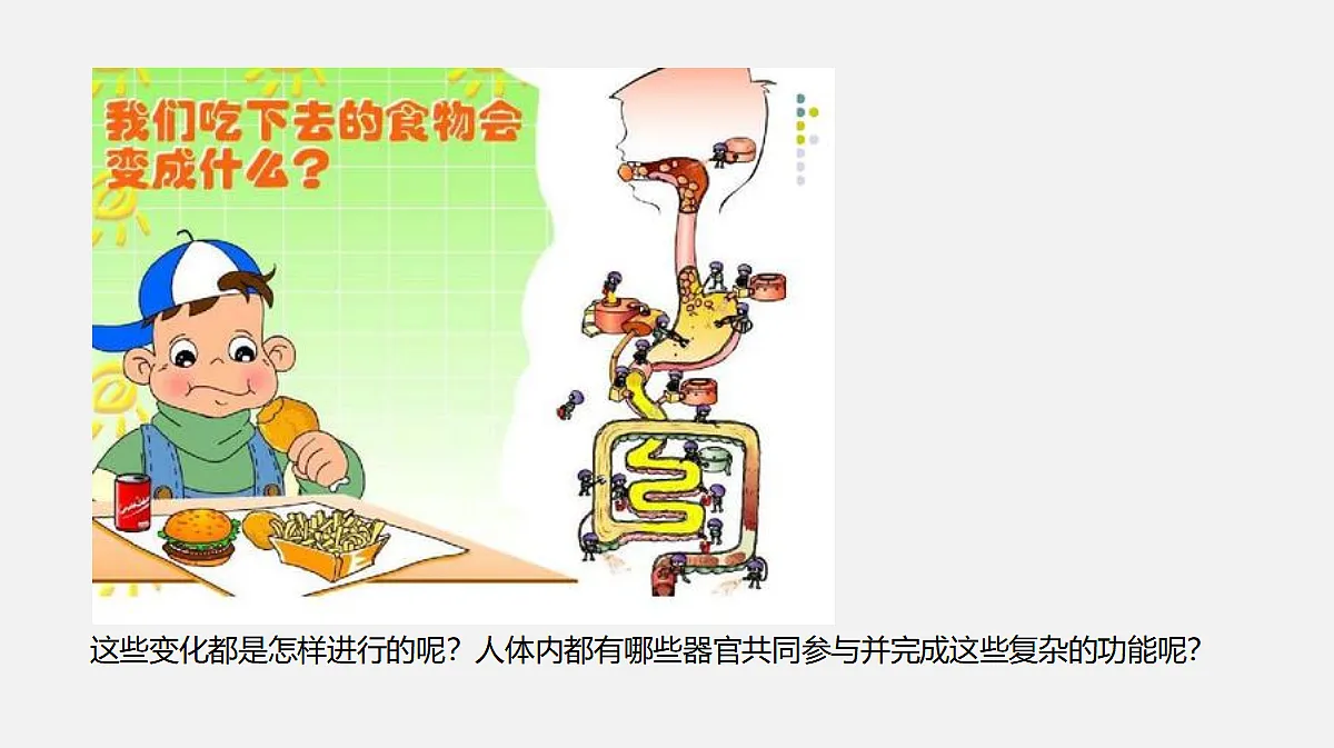 17325508第3页
