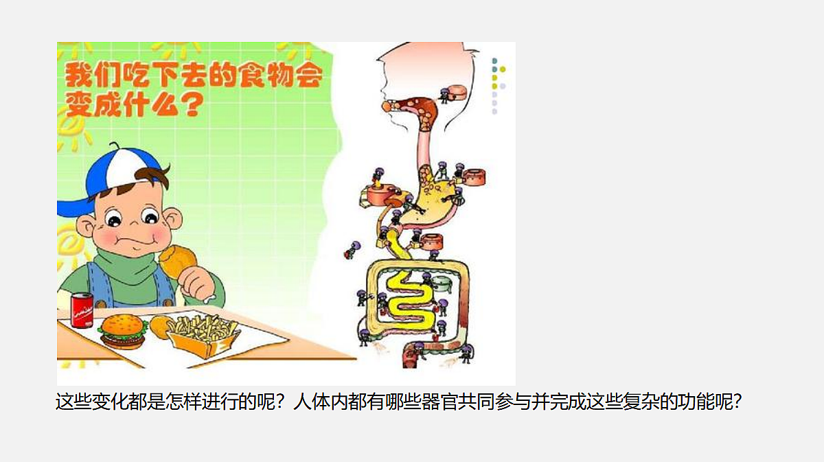 17325508第3页