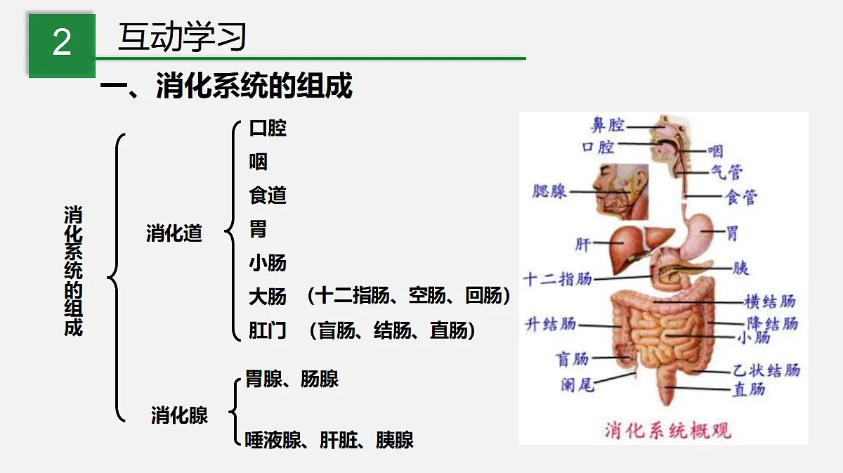 17325508第4页