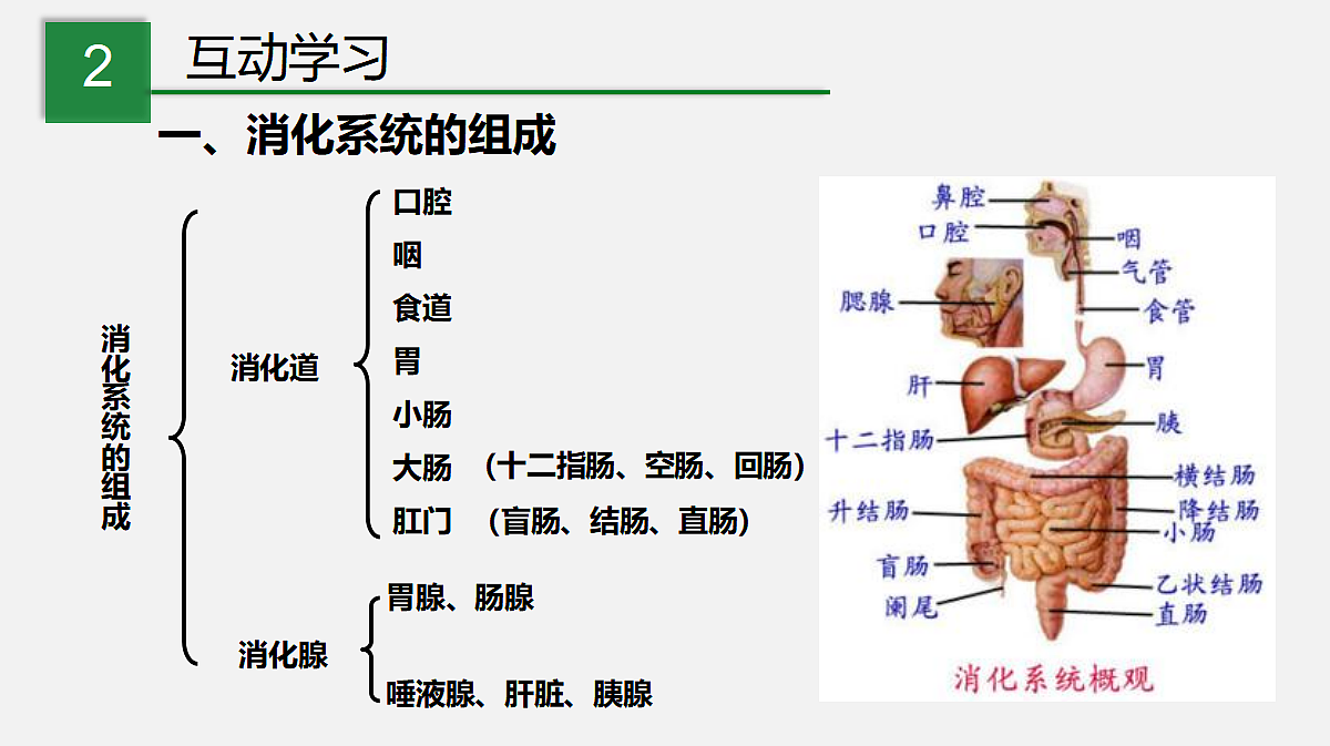 17325508第4页