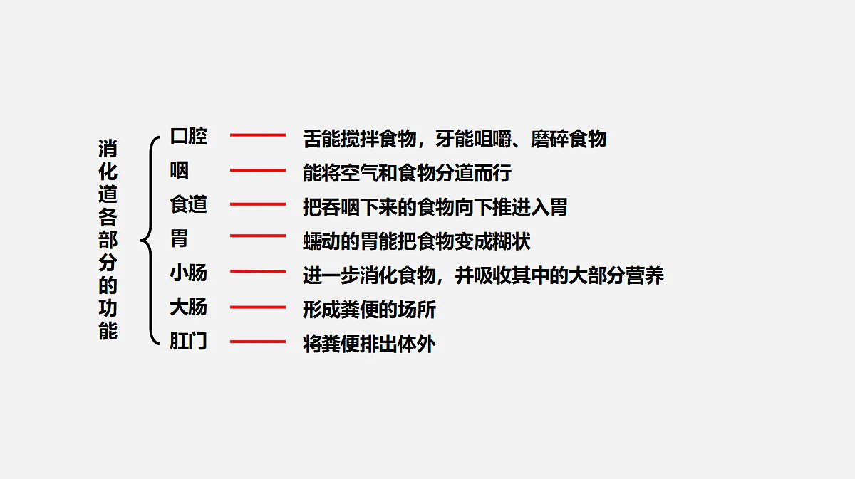 17325508第5页