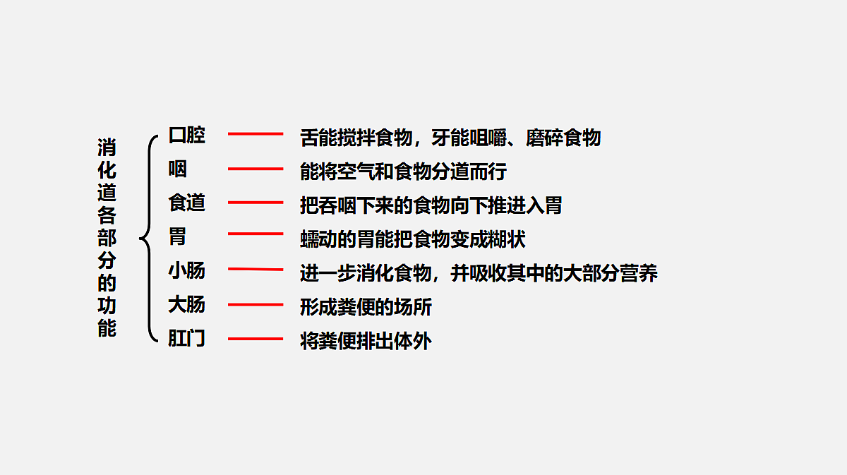 17325508第5页