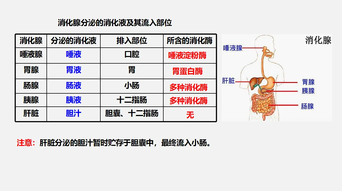 17325508第6页