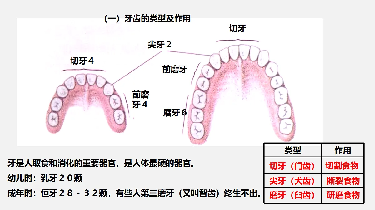 17325508第7页