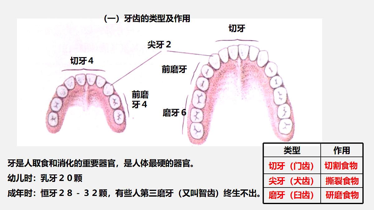 17325508第7页