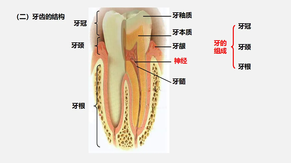 17325508第8页