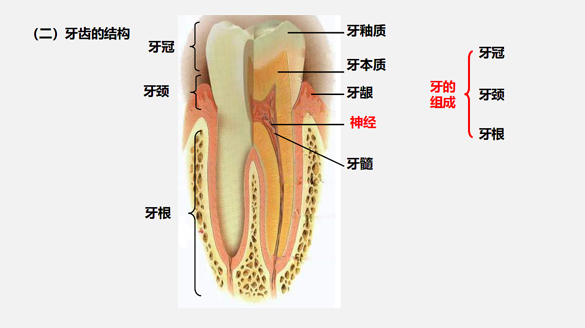 17325508第8页