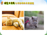 人教鄂教版科学一年级上册 9 更多的家养动物（课件）